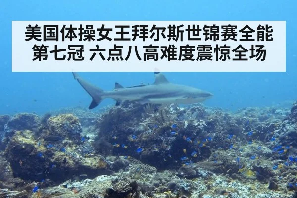 美国体操女王拜尔斯世锦赛全能第七冠 六点八高难度震惊全场