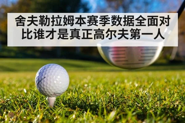 舍夫勒拉姆本赛季数据全面对比谁才是真正高尔夫第一人